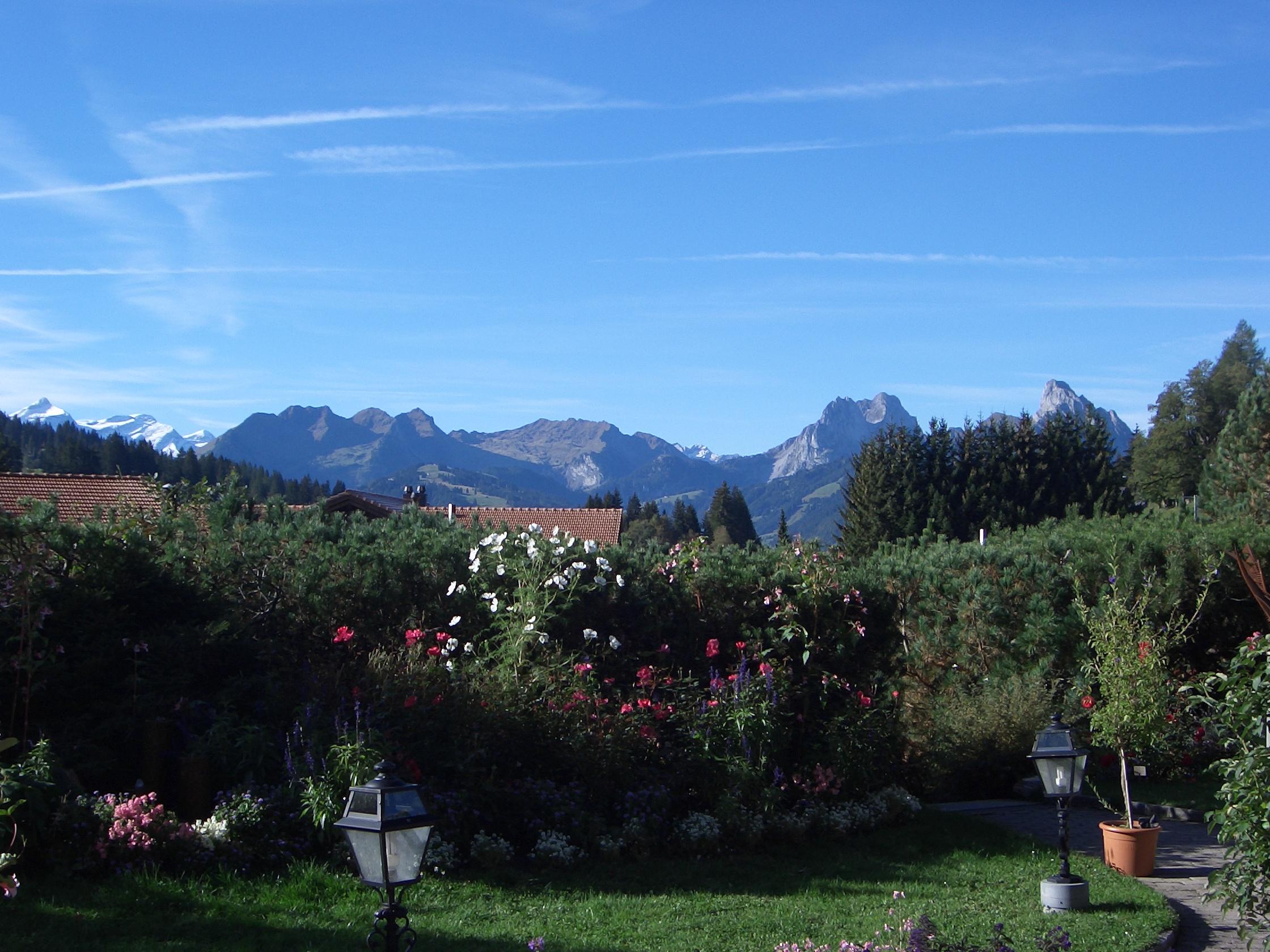Golfhotel Les Hauts De Gstaad & Spa Exterior foto